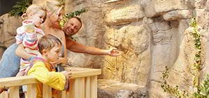 therme_laa