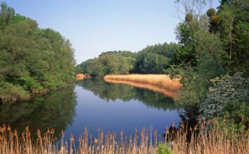 Národný park Donau-Auen (Dunajské luhy)