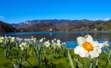 Kam na jar do Rakúska Okolie Viedne